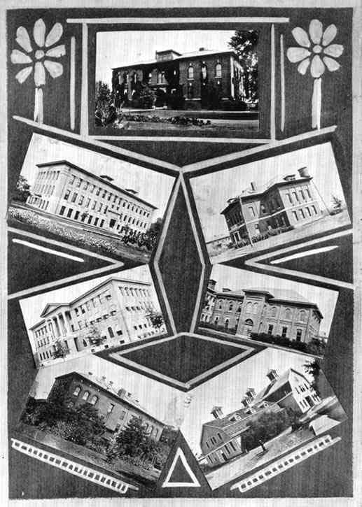 Photograph or Sketch