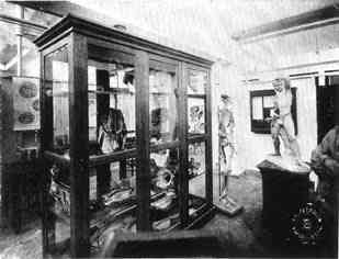 Photograph or Sketch