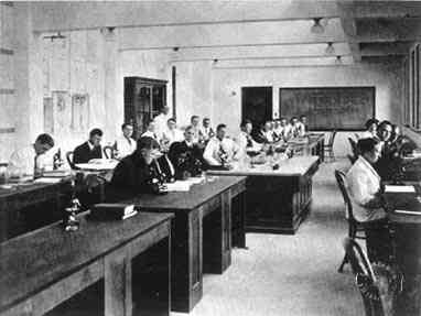 Photograph or Sketch