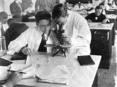 Photograph or Sketch