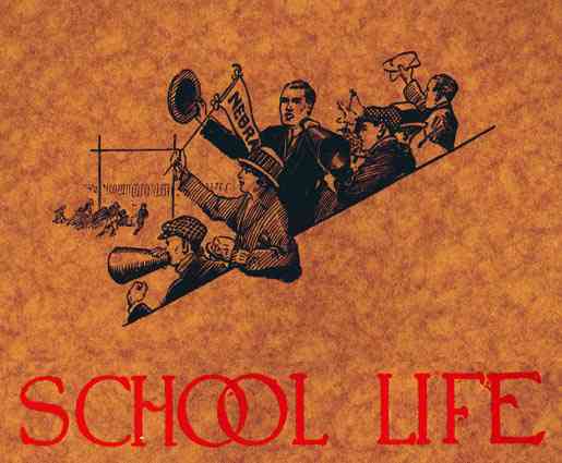 Photograph or Sketch