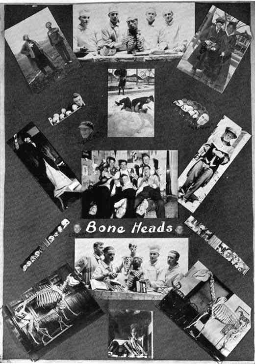 Photograph or Sketch