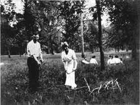 Photograph or Sketch