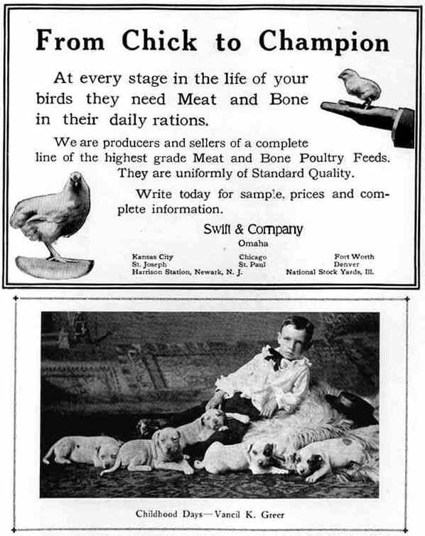 Photograph or Sketch