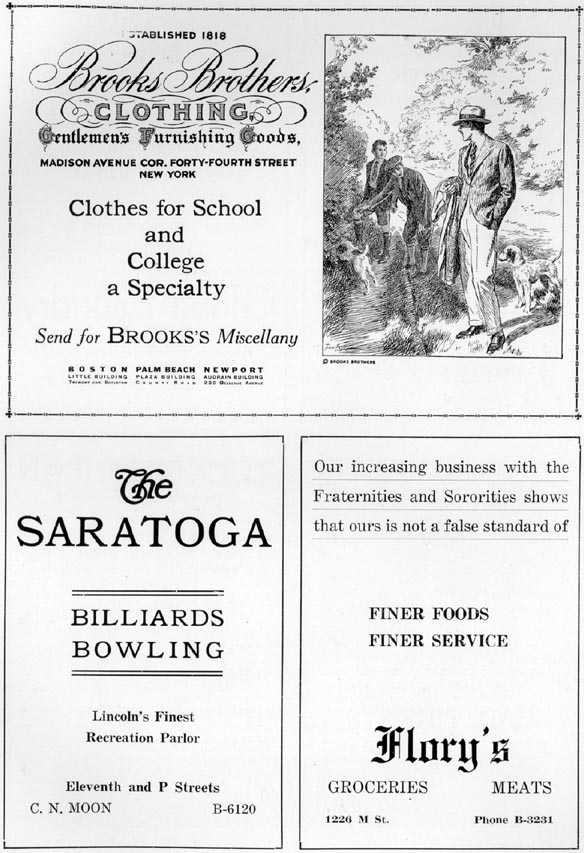 Picture/sketch or label