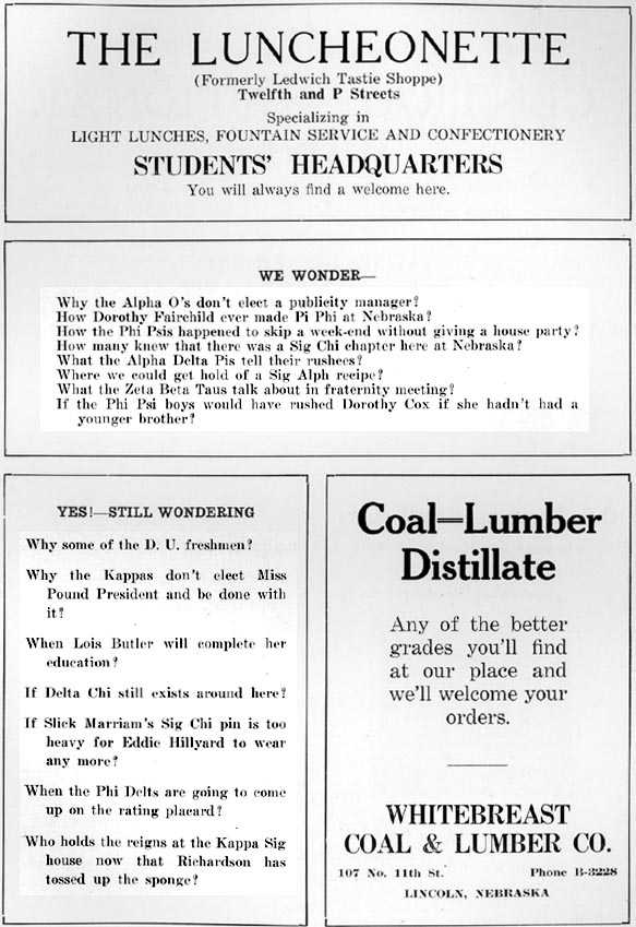 Picture/sketch or label