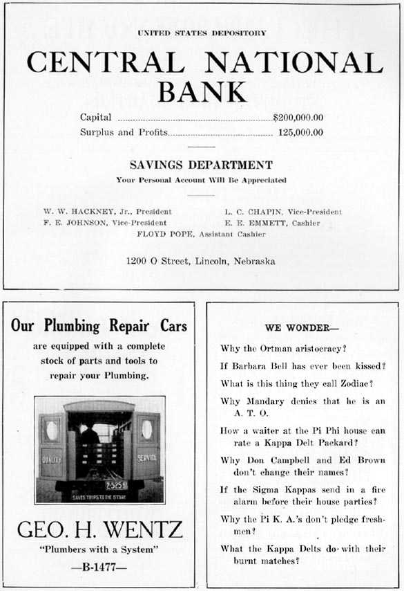 Picture/sketch or label