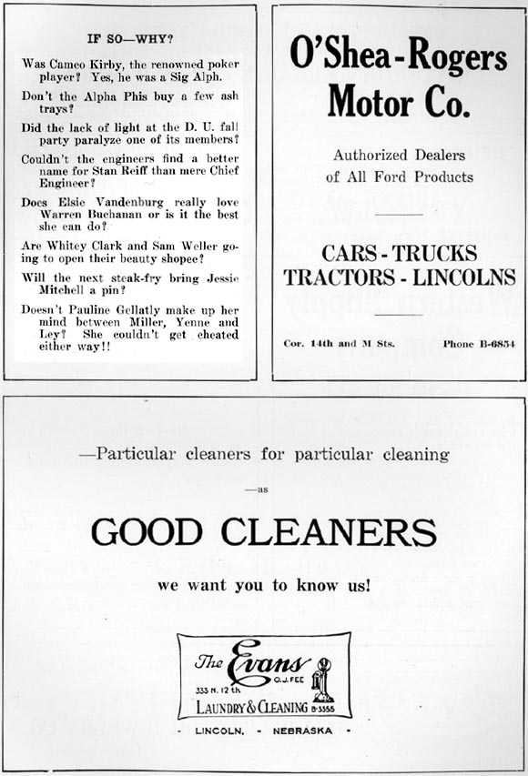 Picture/sketch or label