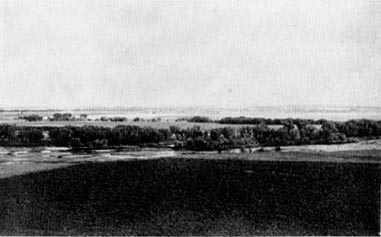 Picture/sketch or label