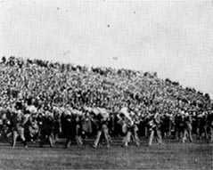 Picture/sketch or label