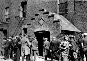 Picture/sketch or label