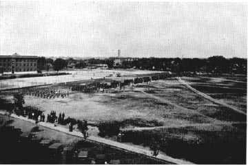 Picture/sketch or label