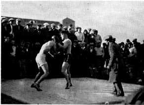 Picture/sketch or label