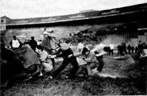 Picture/sketch or label