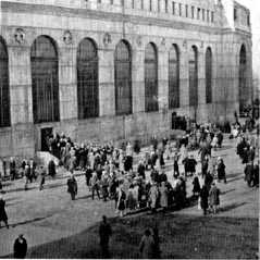 Picture/sketch or label