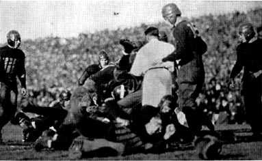 Picture/sketch or label