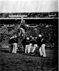 Picture/sketch or label