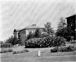 Picture/sketch or label