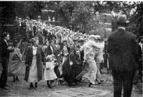 Picture/sketch or label