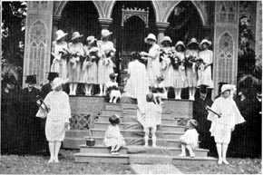 Picture/sketch or label