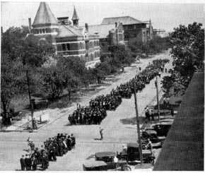 Picture/sketch or label