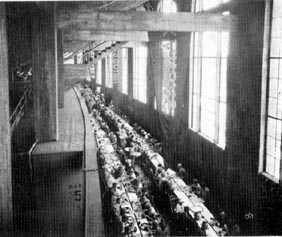 Picture/sketch or label