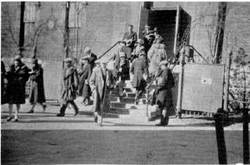 Picture/sketch or label