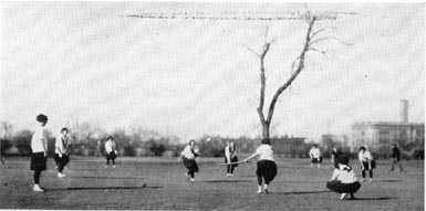 Picture/sketch or label