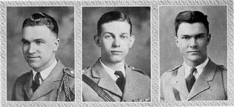 Picture/sketch or label