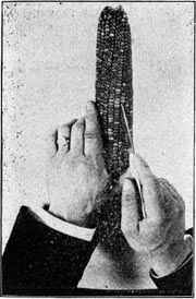 Right way to remove kernels.