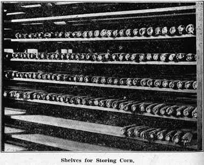Shelves for Storing Corn