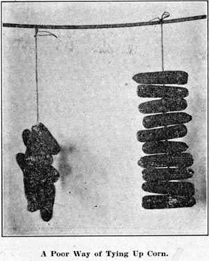 Poor Way of Tying Up Corn