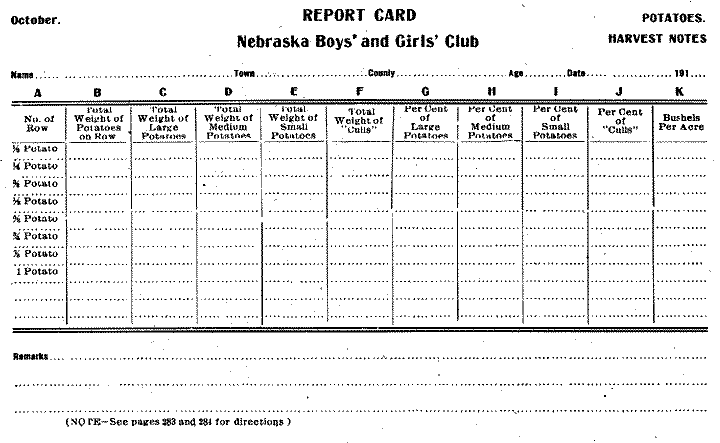 Report Card Potatoes