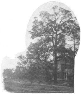 Landmark on a Corner
