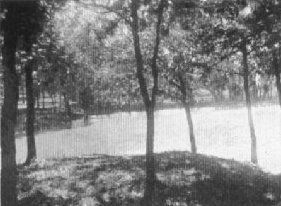 Park