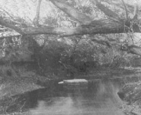 Quiet Pool