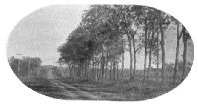 A Walnut Drive