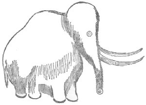 Wooly Mammoth