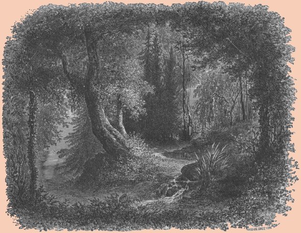 Forest of Fontainebleau.